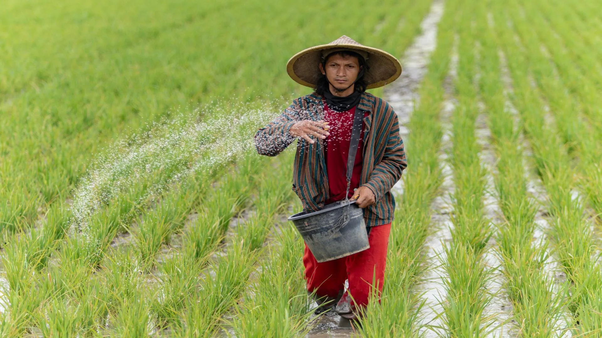 BII Unveils £1.1bn Climate Initiative for Developing Asia