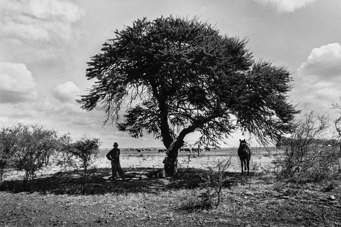 Luis Fabini and the Traces of Presence in the Land of the Gauchos