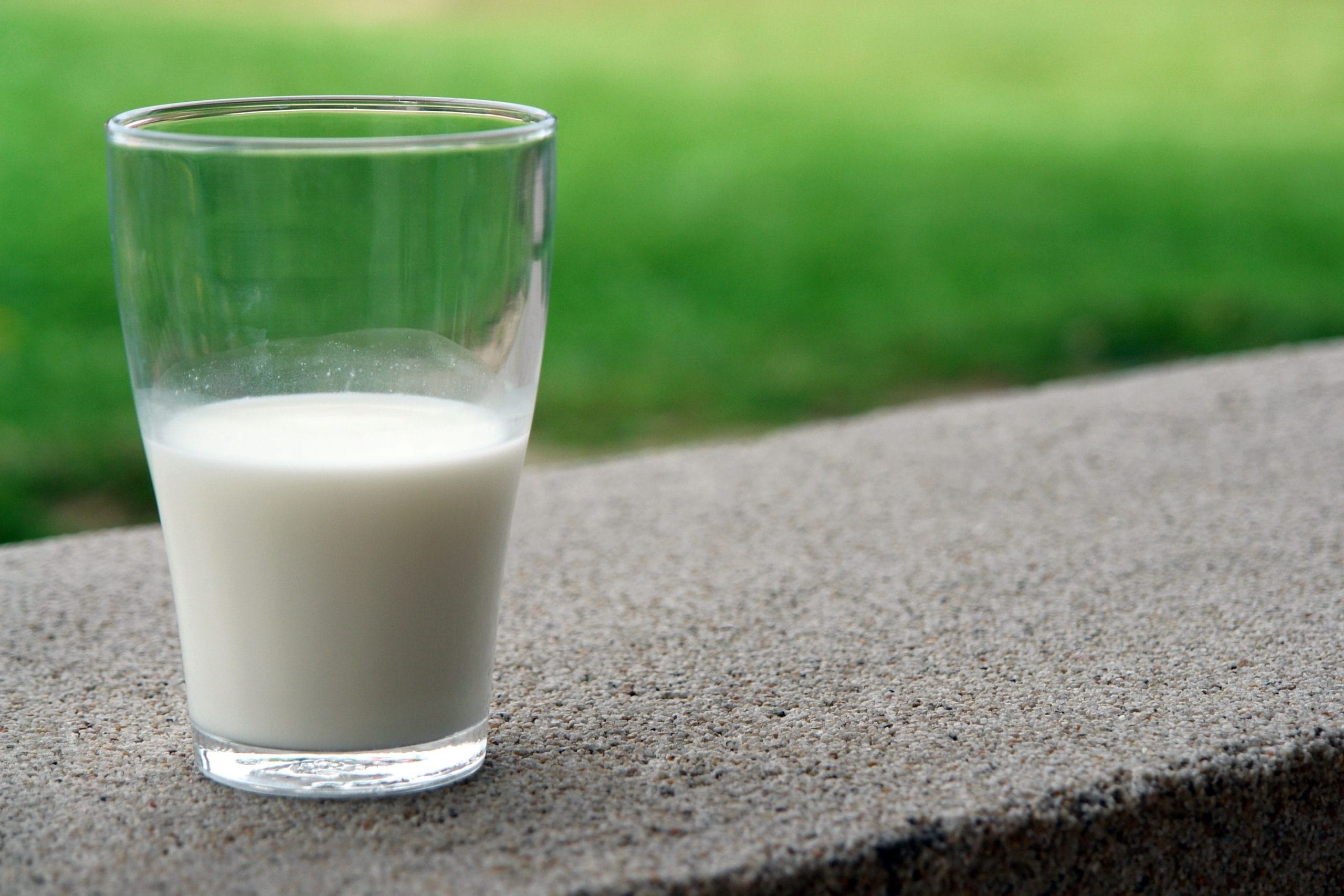 USDEC Claims Milk Imports Do Not Threaten Indonesia’s Local Industry