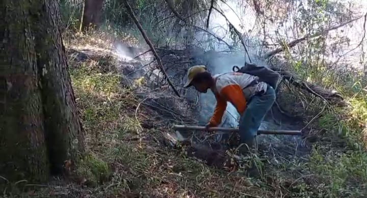Wildfires Burn 200 Hectares on Mount Lawu as Fires Spread Across East Java